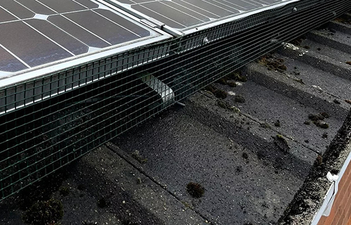 Bird Proofing Solar Panels